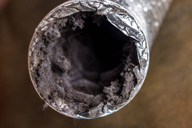 Best Affordable Air Duct Cleaning  in Tuscoosa, AL